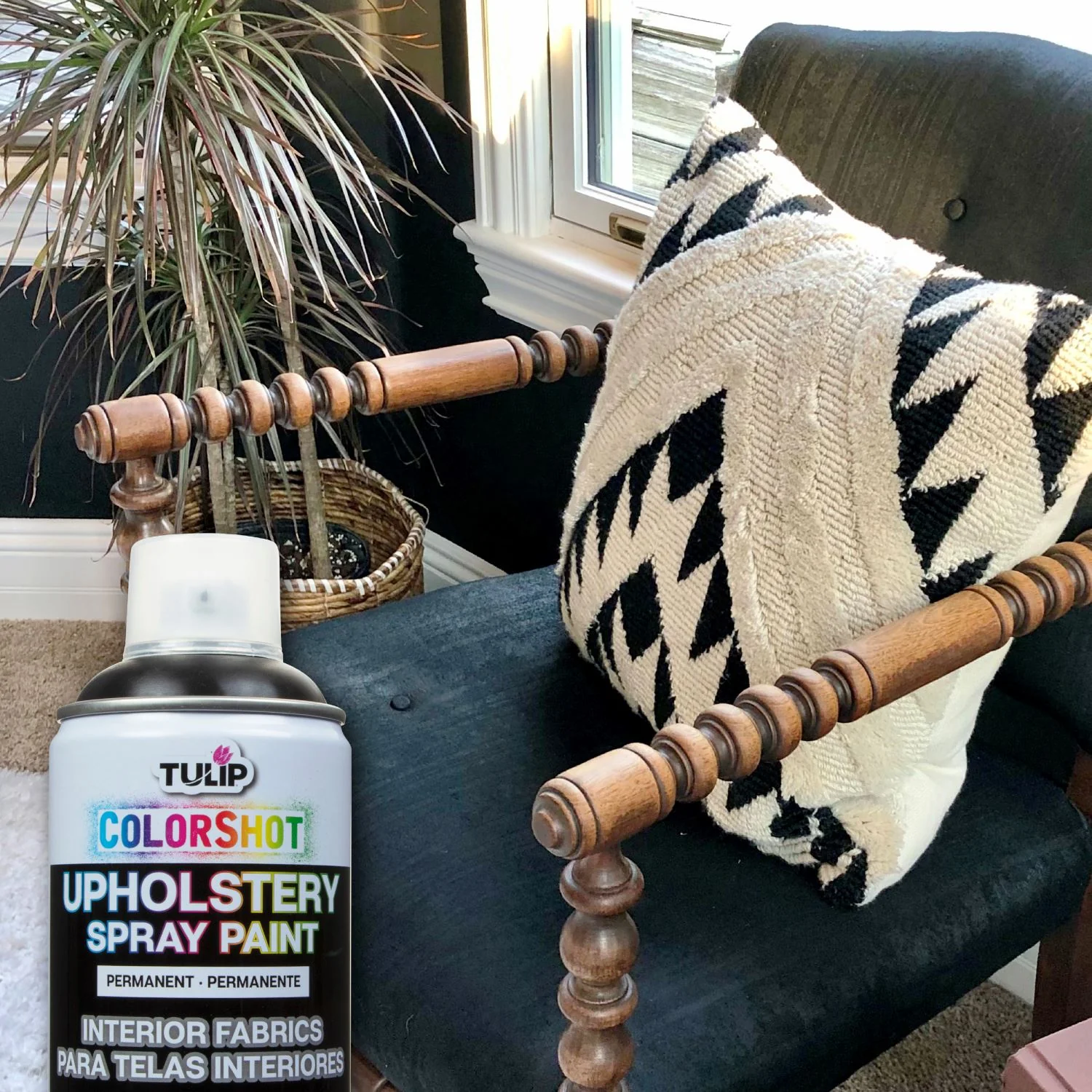 ColorShot Interior Black - Image 4